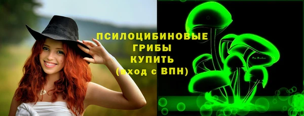 твердый Белокуриха