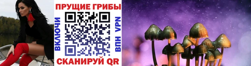 продажа наркотиков кракен как зайти Галлюциногенные грибы мухоморы Белёв